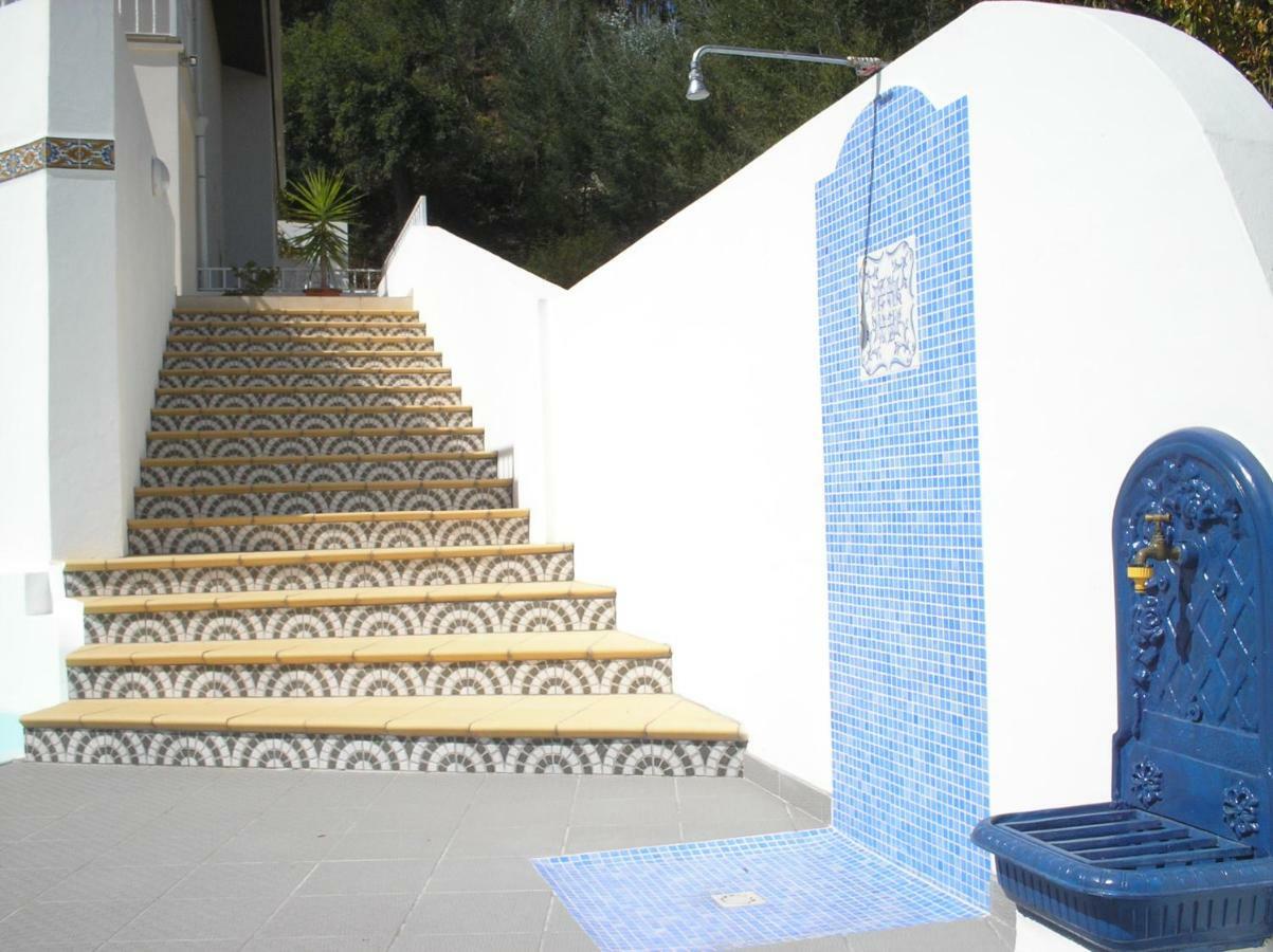 Villa Vivenda Pirilampo Vila Nova de Poiares Exterior foto